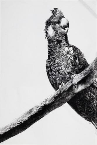 Une jolie collection de torchons 100% Coton, aux motifs animaliers incorporant de beaux ornements floraux, dessinée par le jeune artiste australien Nathan Ferlazzo, que l’on aurait envie d’encadrer !